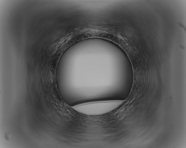 X0000098111253200804040753
