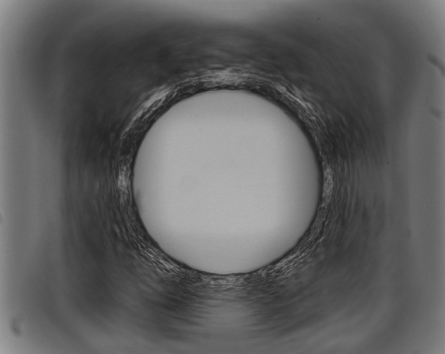 X0000098111254200804040753