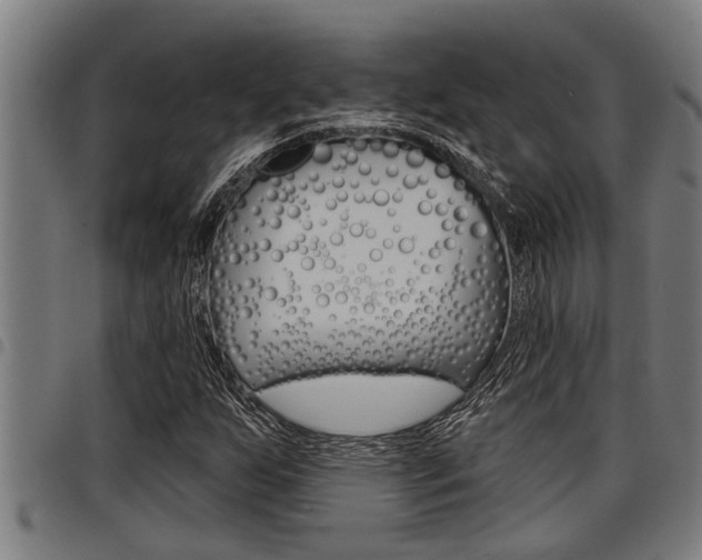 X0000098111255200804040753