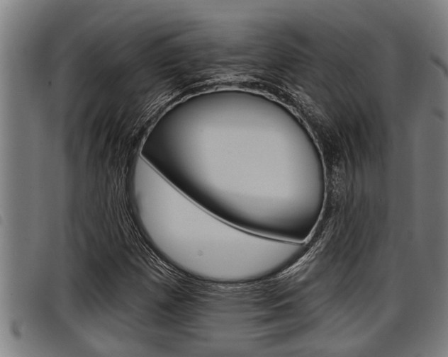 X0000098111257200804040753