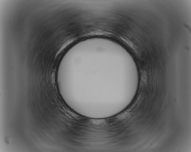 X0000098111258200804040753