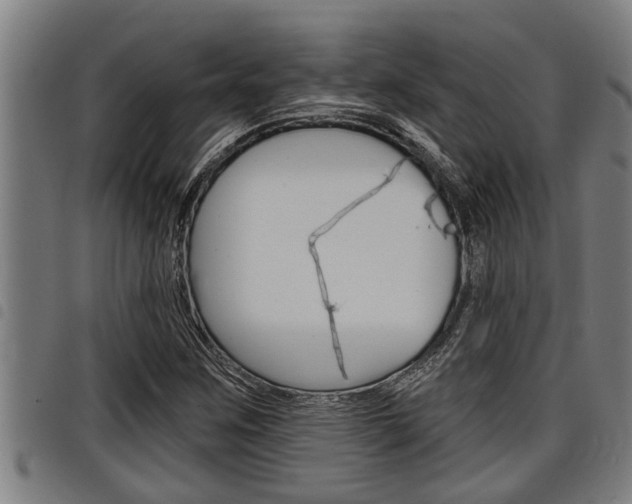 X0000098111259200804040753