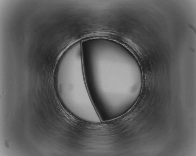 X0000098111260200804040753