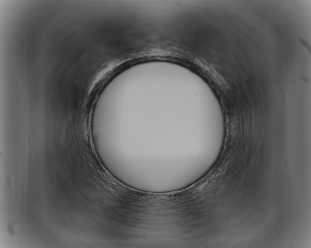 X0000098111262200804040753