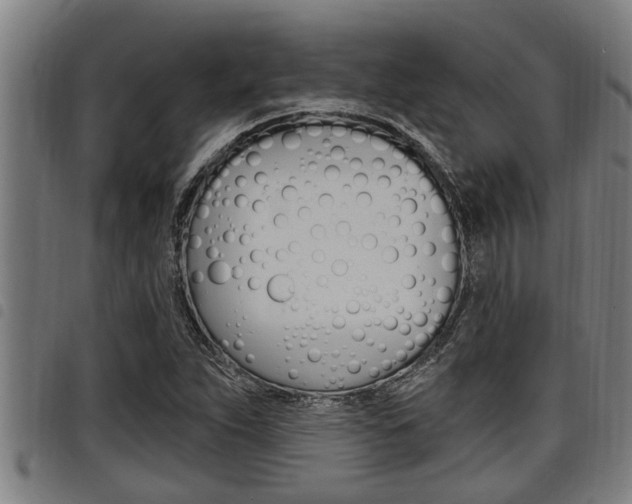 X0000098111263200804040753