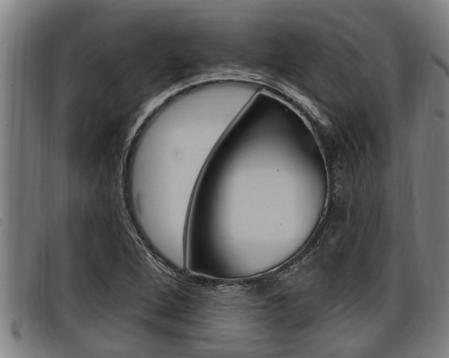 X0000098111264200804040753