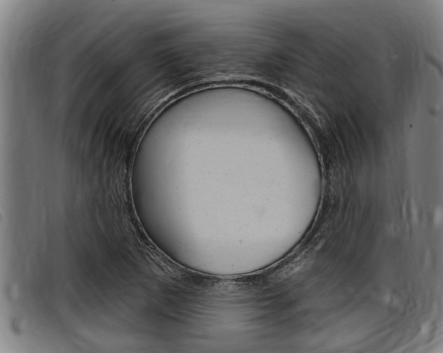 X0000098111265200804040753
