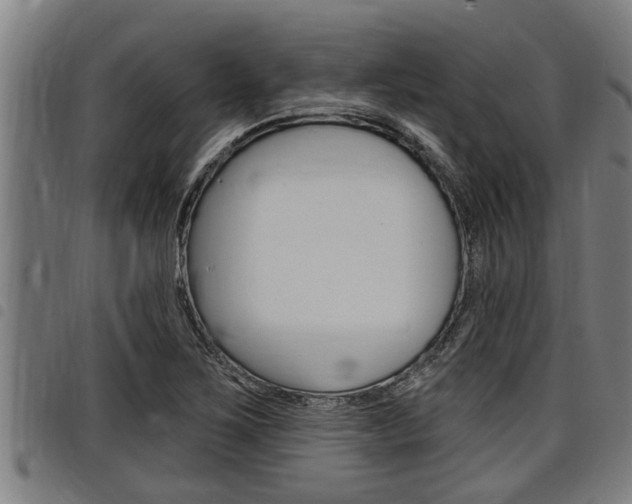 X0000098111267200804040753