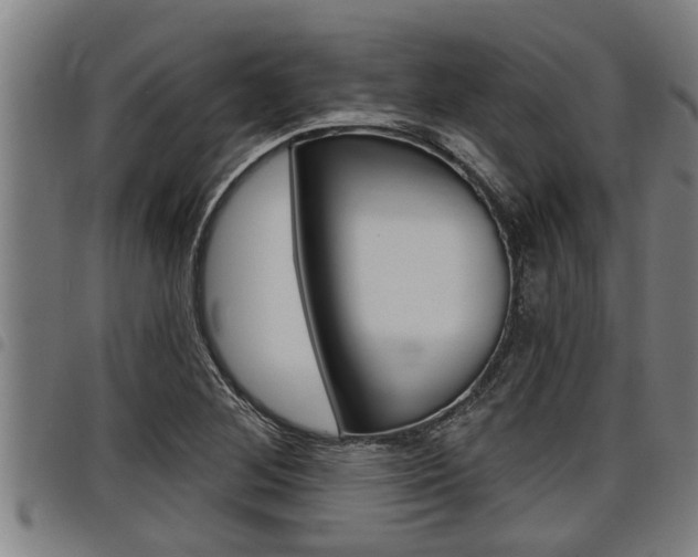 X0000098111268200804040753