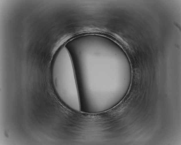 X0000098111269200804040753