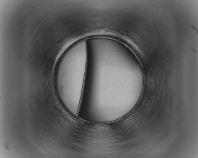 X0000098111270200804040753