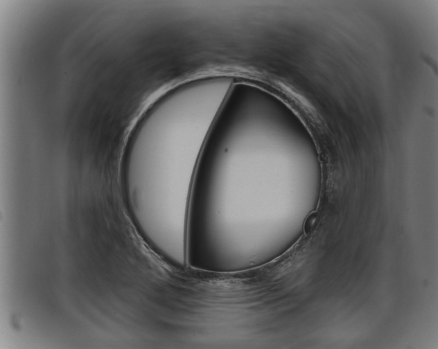X0000098111272200804040753