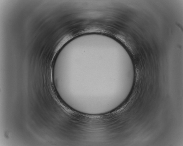 X0000098111274200804040753