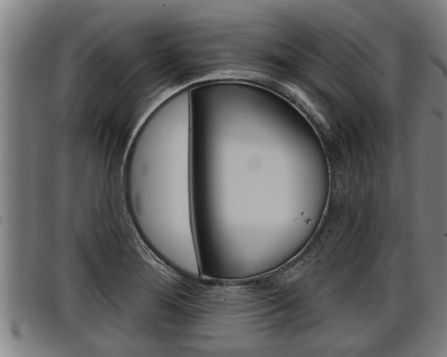 X0000098111276200804040753