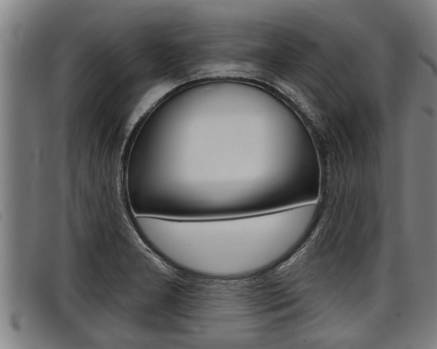 X0000098111277200804040753