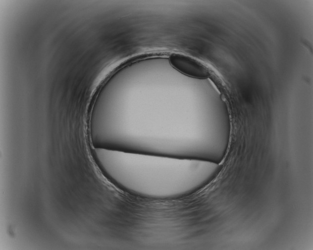 X0000098111279200804040753