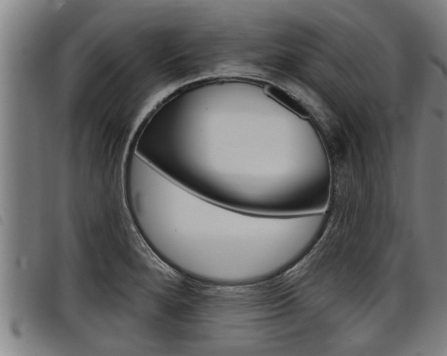 X0000098111280200804040753