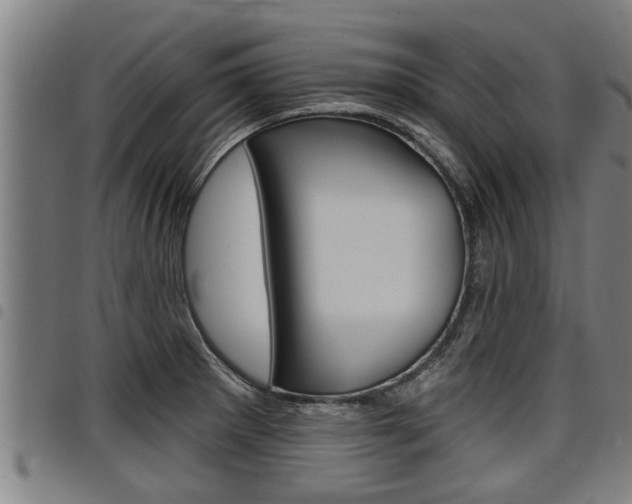 X0000098111281200804040753