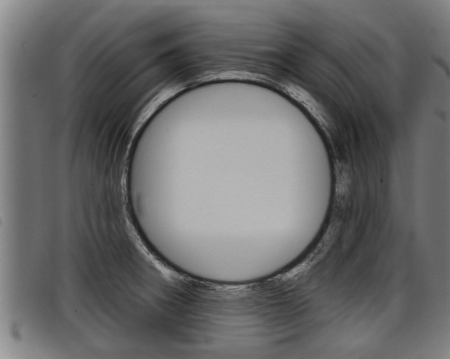 X0000098111282200804040753