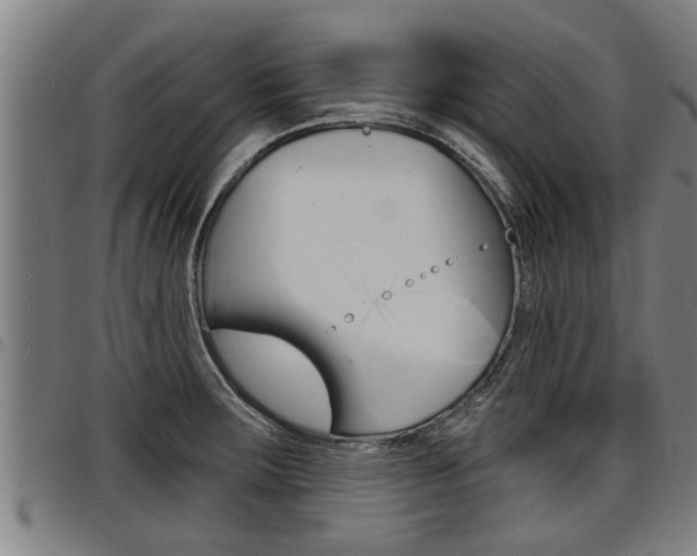 X0000098111283200804040753