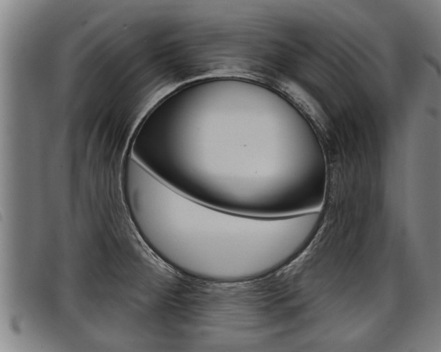 X0000098111284200804040753