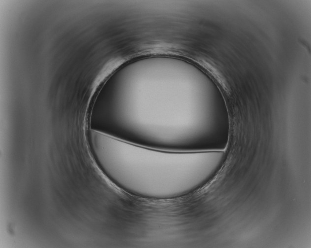 X0000098111285200804040753