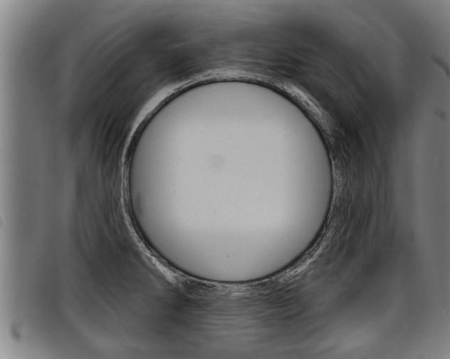 X0000098111286200804040753