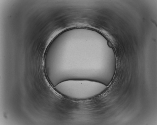 X0000098111287200804040753