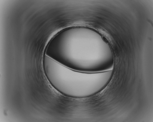 X0000098111288200804040753