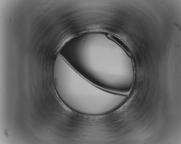 X0000098111289200804040753