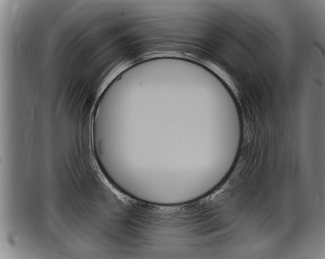 X0000098111290200804040753