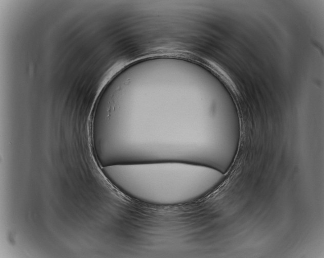 X0000098111291200804040753