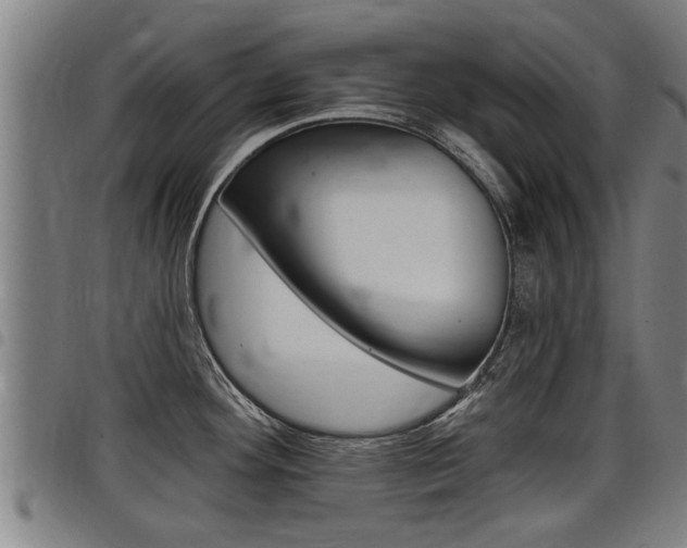 X0000098111292200804040753