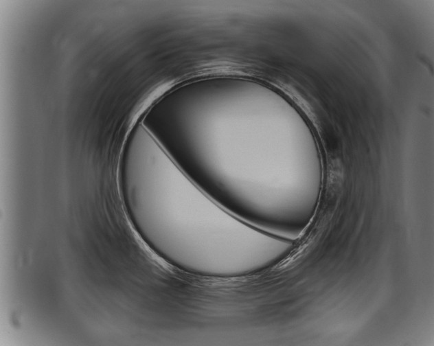 X0000098111293200804040753