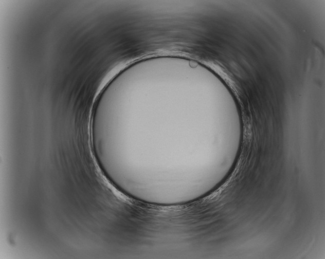 X0000098111294200804040753