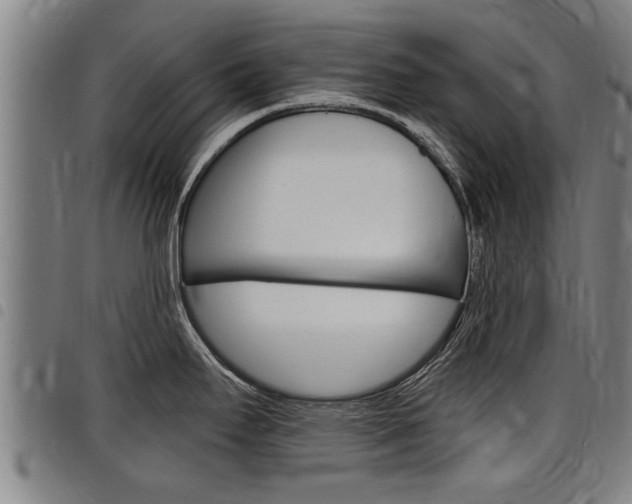 X0000098111295200804040753