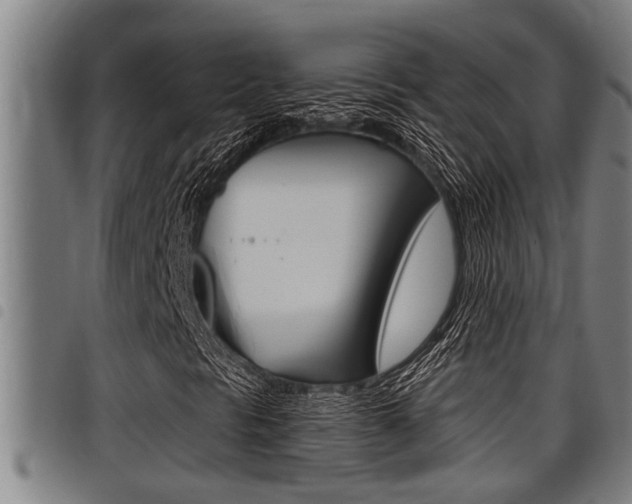 X0000098111297200804040752