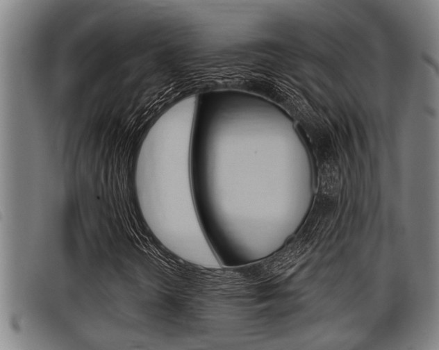 X0000098111298200804040752