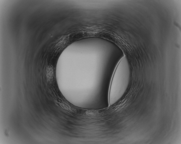 X0000098111299200804040752