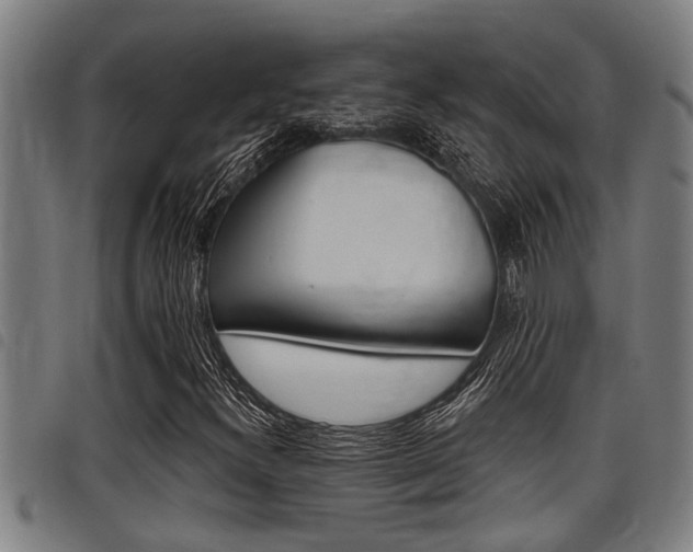 X0000098111300200804040752