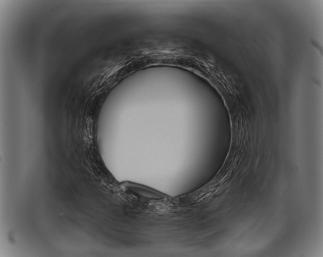 X0000098111301200804040752