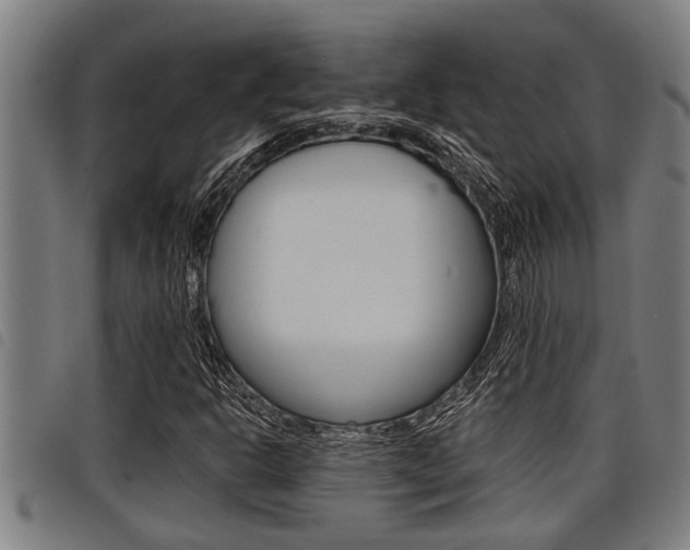 X0000098111302200804040752