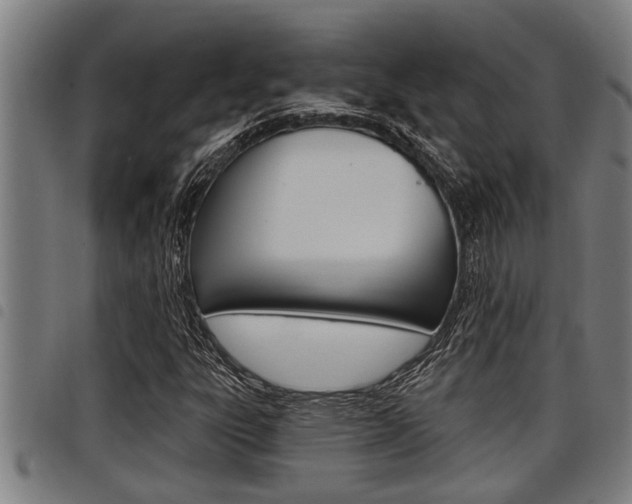 X0000098111303200804040752