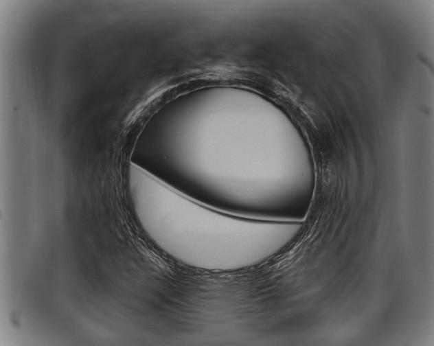 X0000098111304200804040752