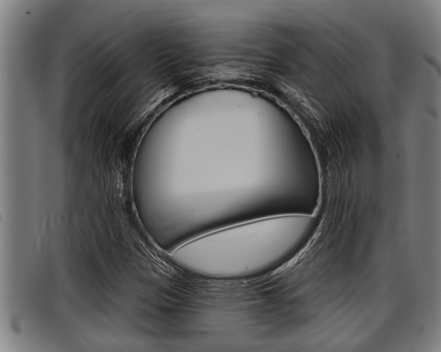 X0000098111305200804040752