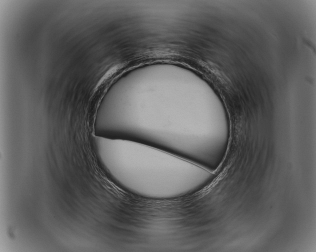 X0000098111306200804040752