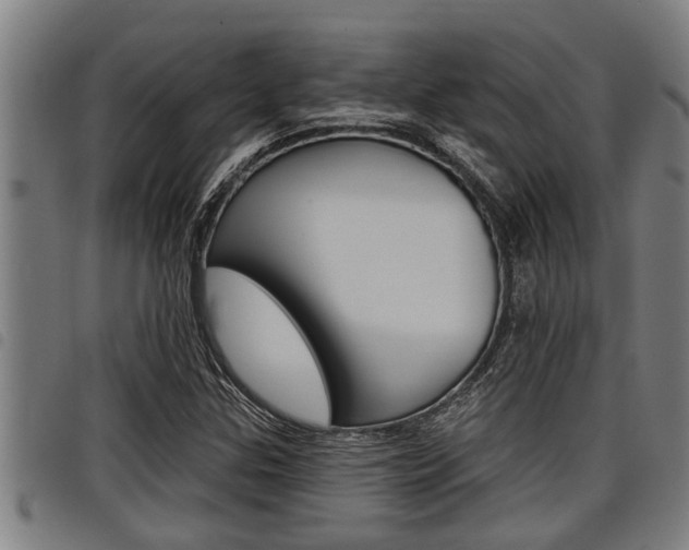 X0000098111307200804040752