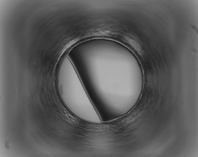 X0000098111308200804040752