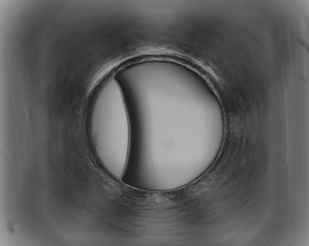 X0000098111311200804040752