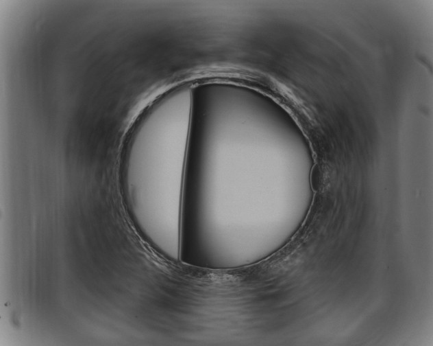 X0000098111312200804040752